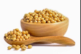Soyabeen  (सोयाबीन)
