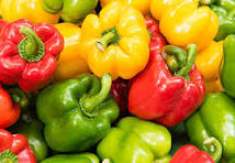 Bell Peppers  (Capsicum) (शिमला मिरची)