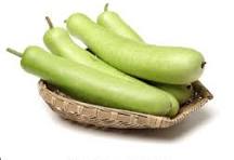 Bottle Gourd  (Lauki/Doodhi) (दुधी भोपळा)