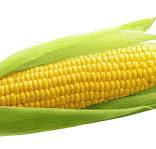 Corn  (Makai) (मक्का)