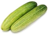 Cucumber  (Kheera) (काकडी)