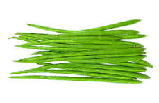 Drumstick  (Sahjan/Moringa) (शेवगा/ढोलकी)