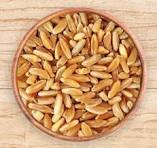 Durum Wheat  (Semolina, Suji) (रवा)
