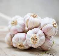 Garlic (लसूण) (Lahsun)