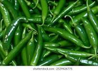 Green Chili  (Hari Mirch) (हिरवी मिरची)