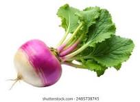 Turnip  (Shalgam) (शलगम)